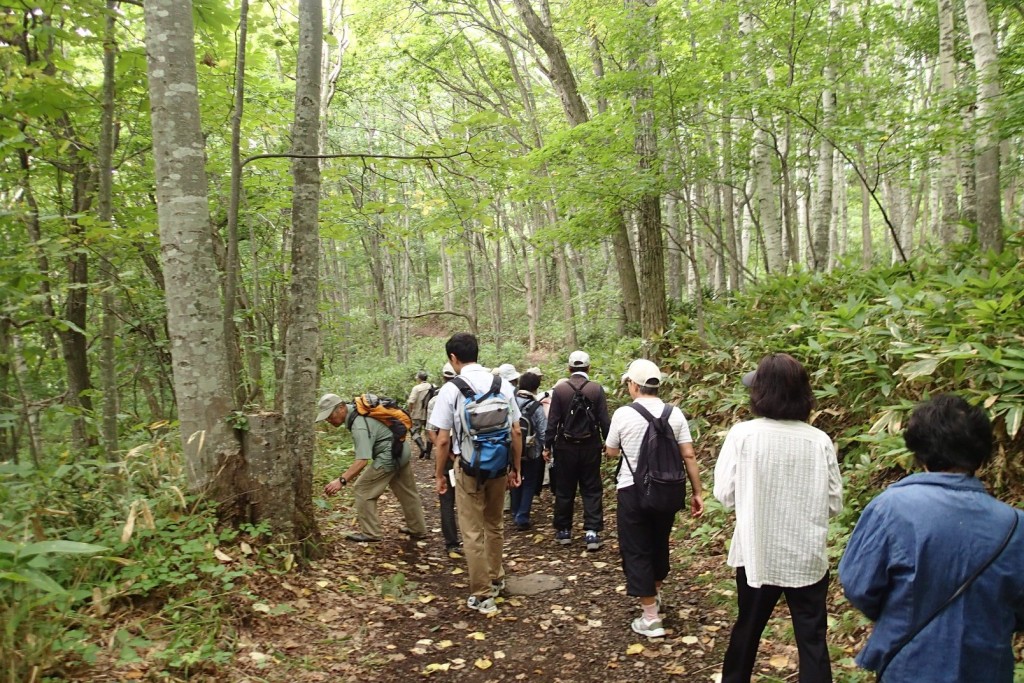 ガイドウォ―ク