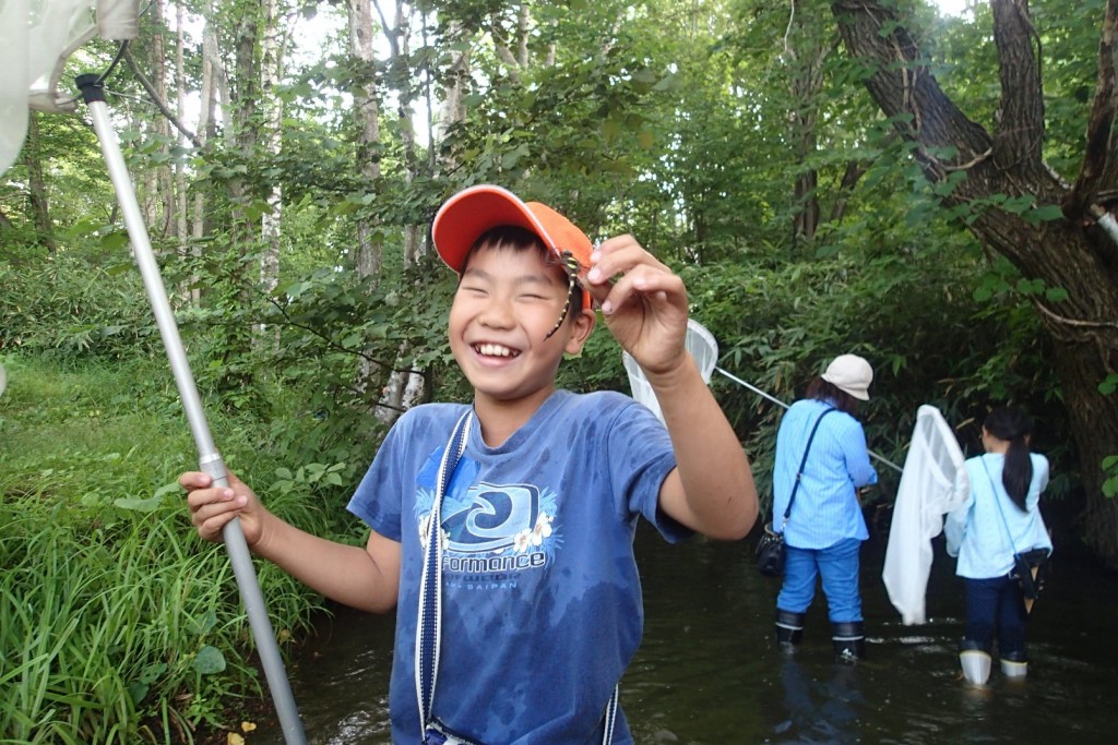 コシボソヤンマ