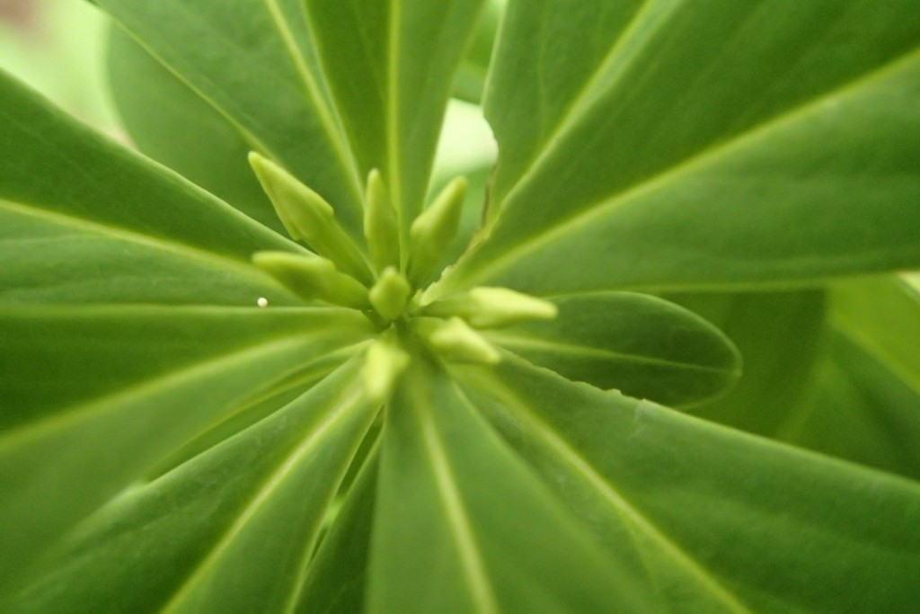 ナニワズアップ