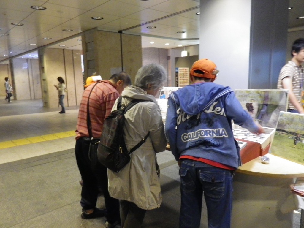 トンボの標本解説