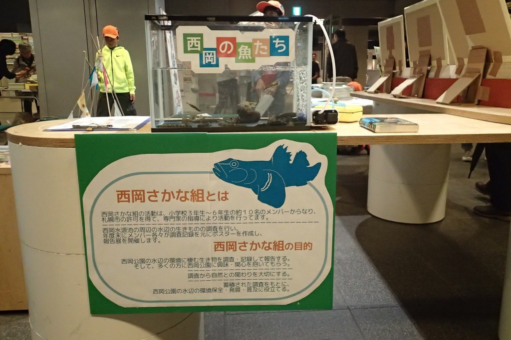西岡公園の魚展示