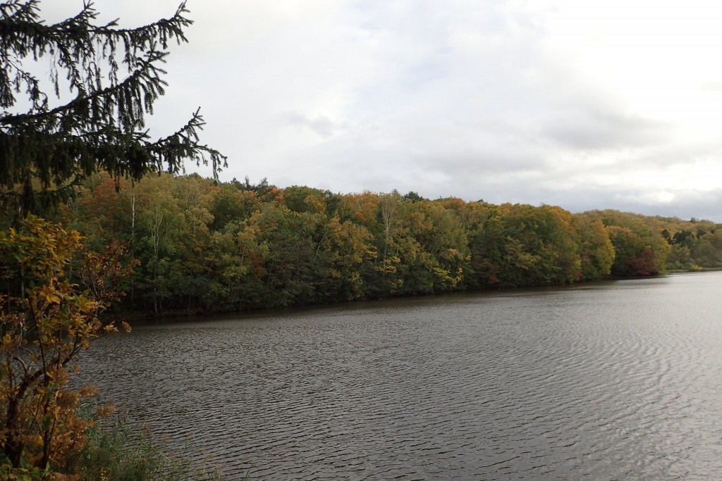 少しずつ黄葉・紅葉