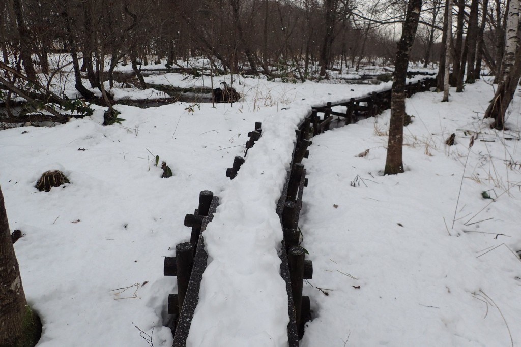 木道の雪