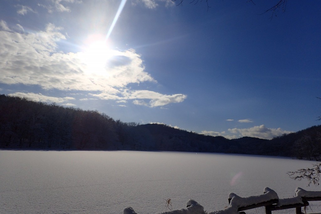 陽射し射す水源池