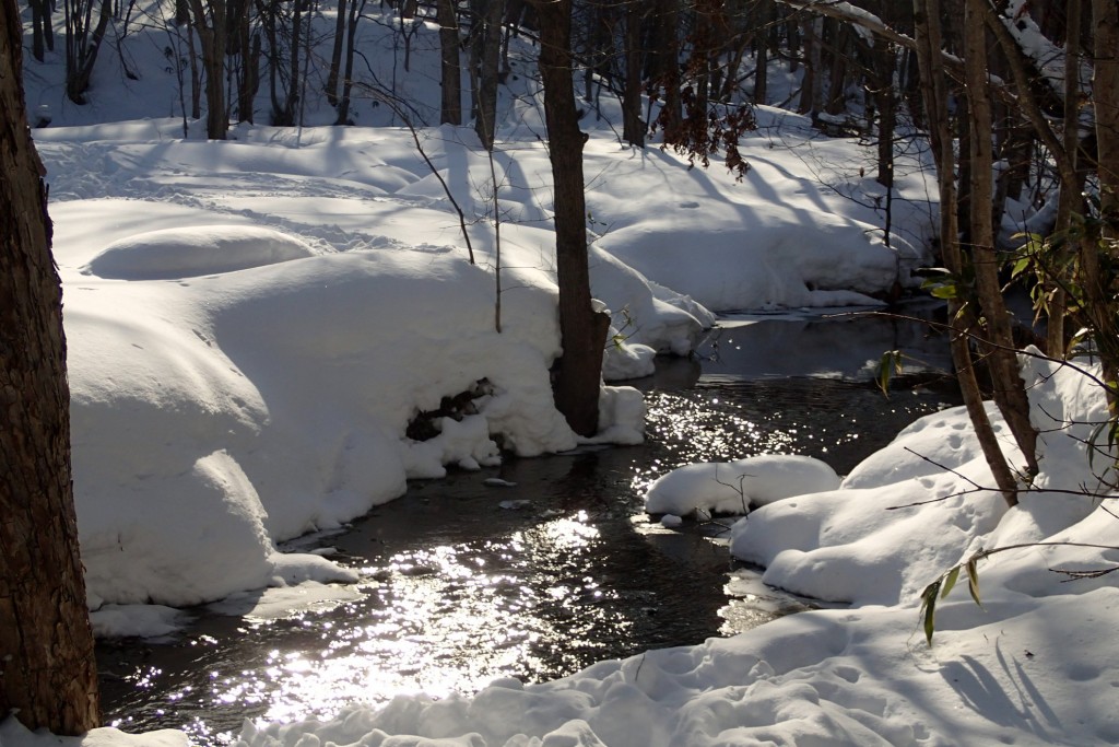 パーゴラ広場の川
