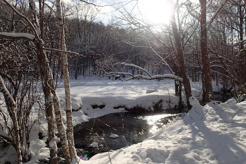 パーゴラ広場付近