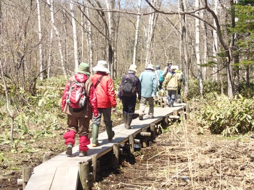 木道を歩く参加者