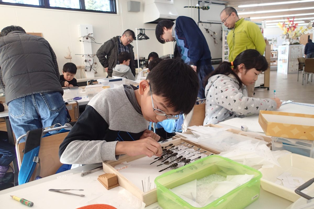 ヤンマ団1!の虫はかせ