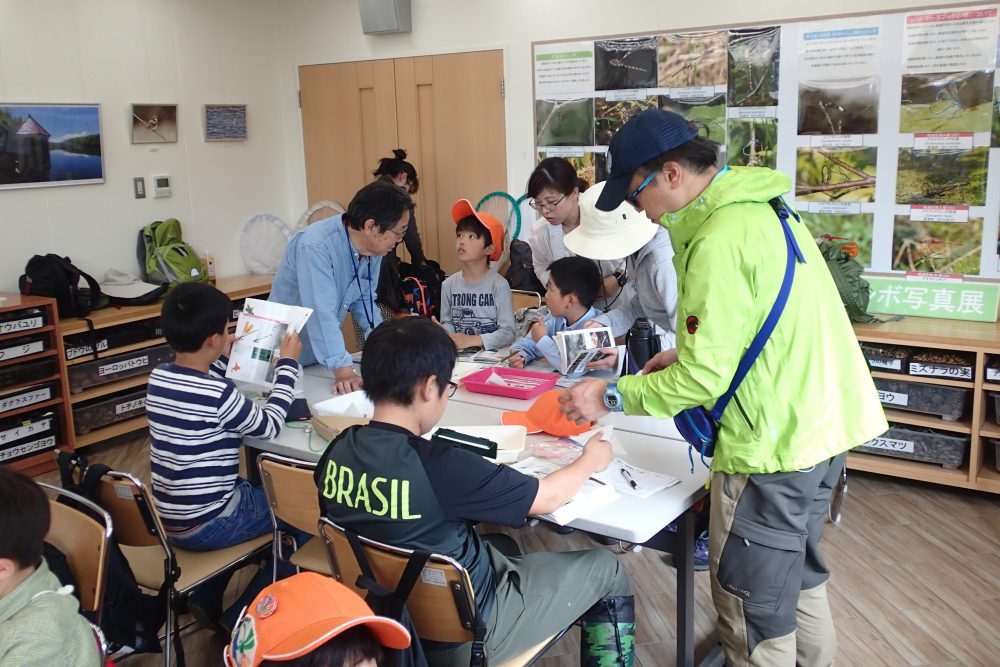 ヤンマ団調査記録のまとめ