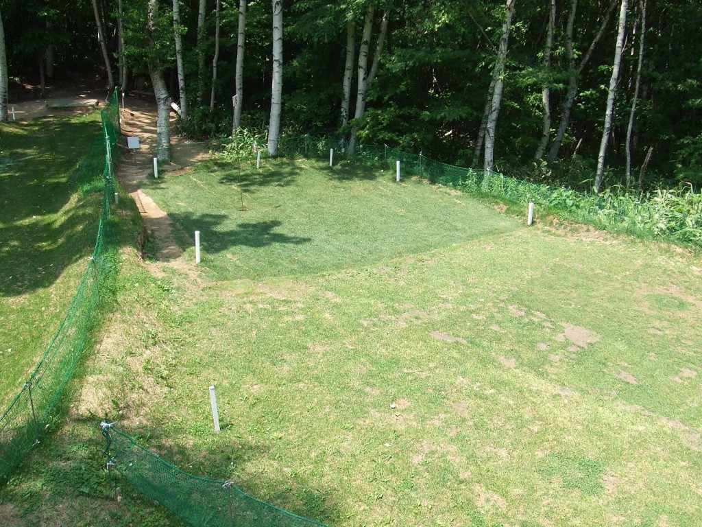 パークゴルフ場の写真