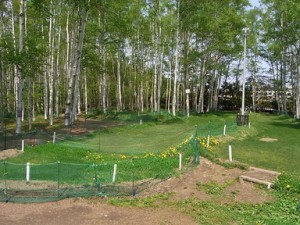 西岡中央PGコース