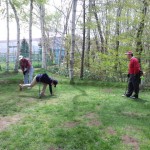 「パークゴルフ楽しんでま～す！」の画像