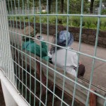 「巡回の楽しみ！」の画像