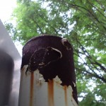 「ハチにご注意を」の画像