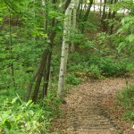 「本日の西岡中央公園」の画像