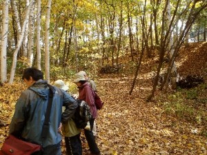 「「西岡中央公園ガイドウォーク」を行いました」の画像