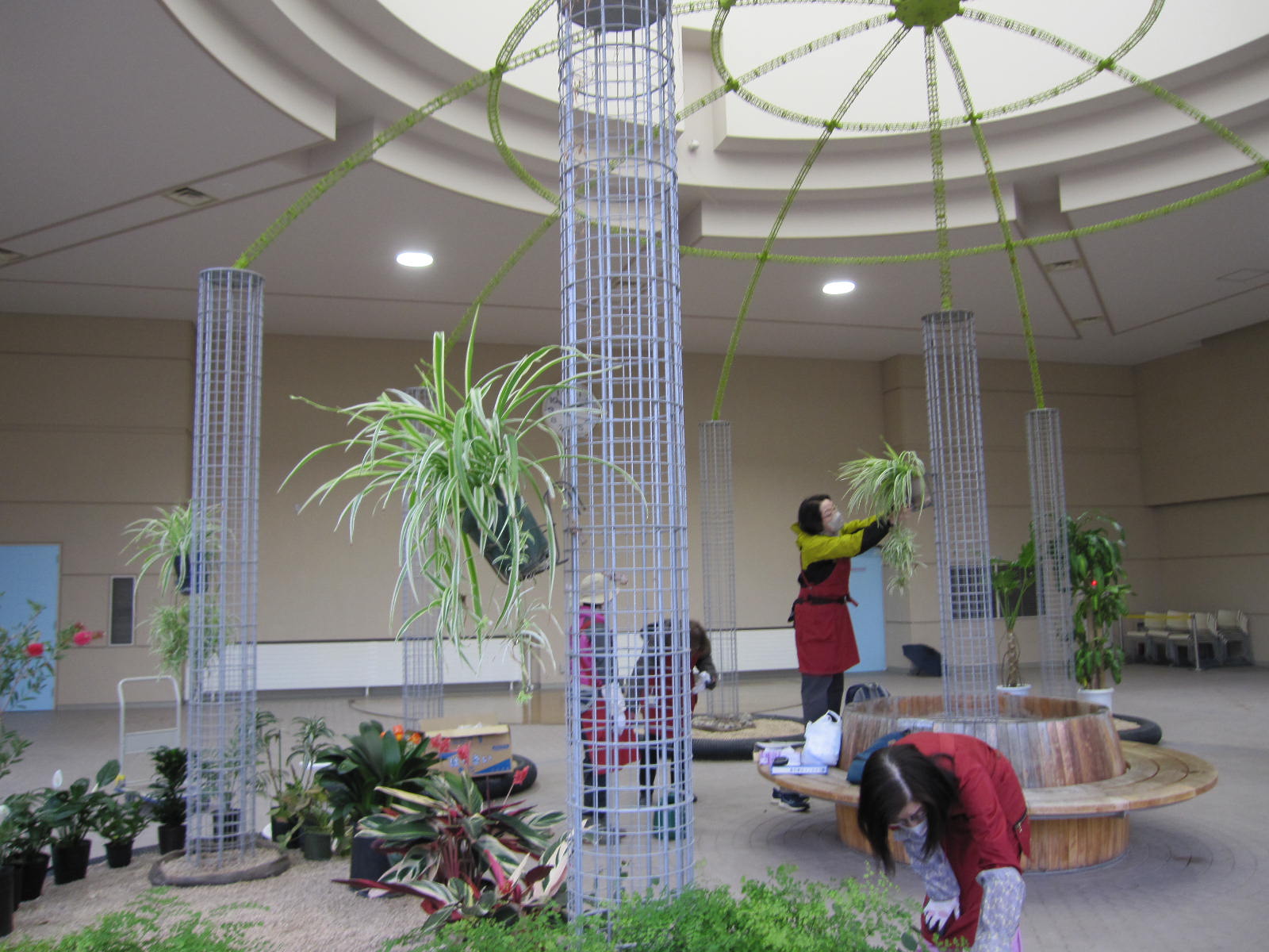 サンルームに植物を配置