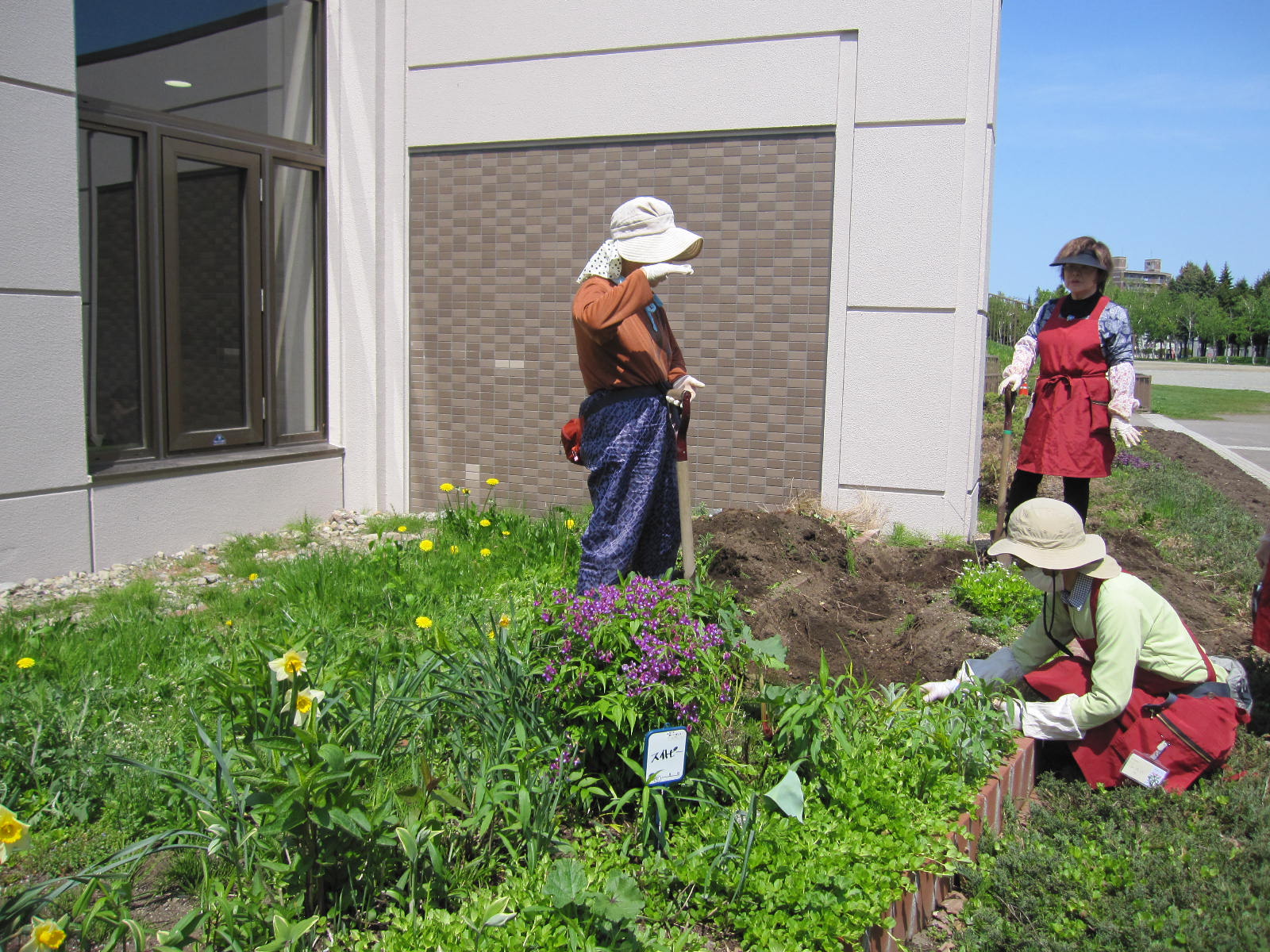 カポックのみなさま