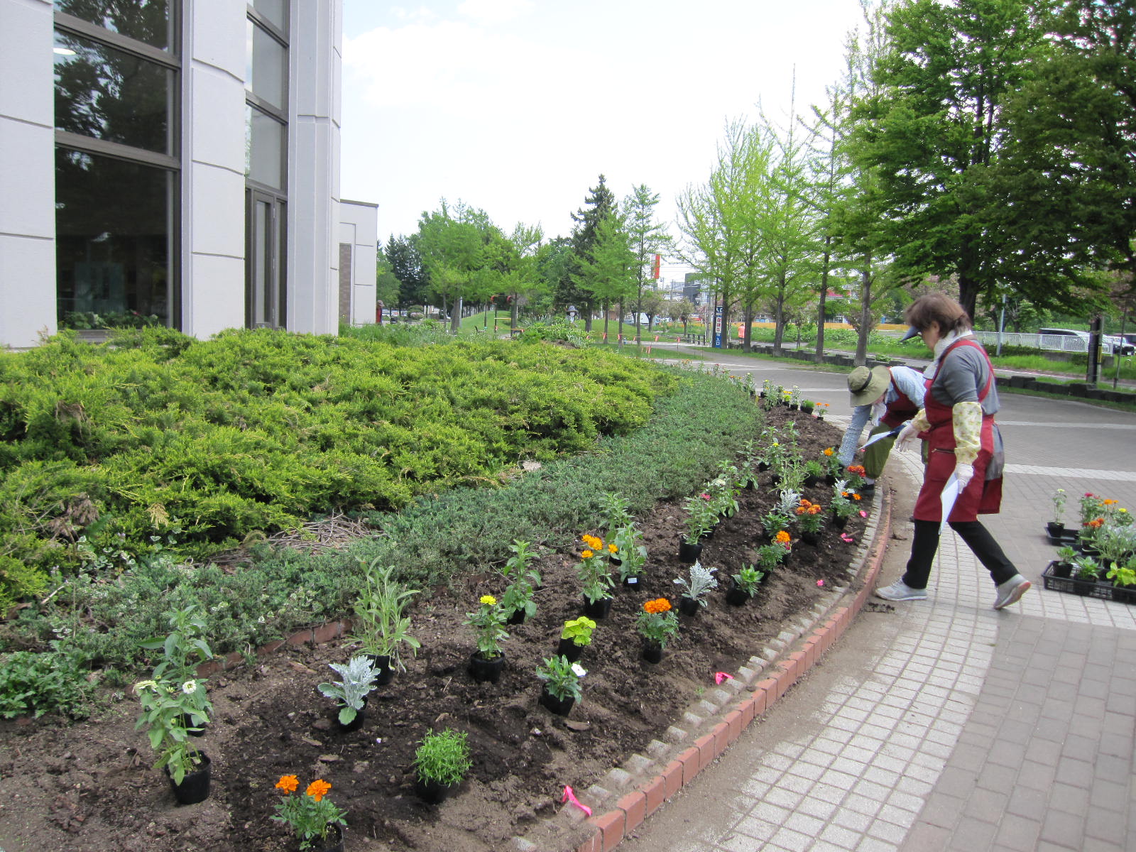 ツインキャップまわりの花壇