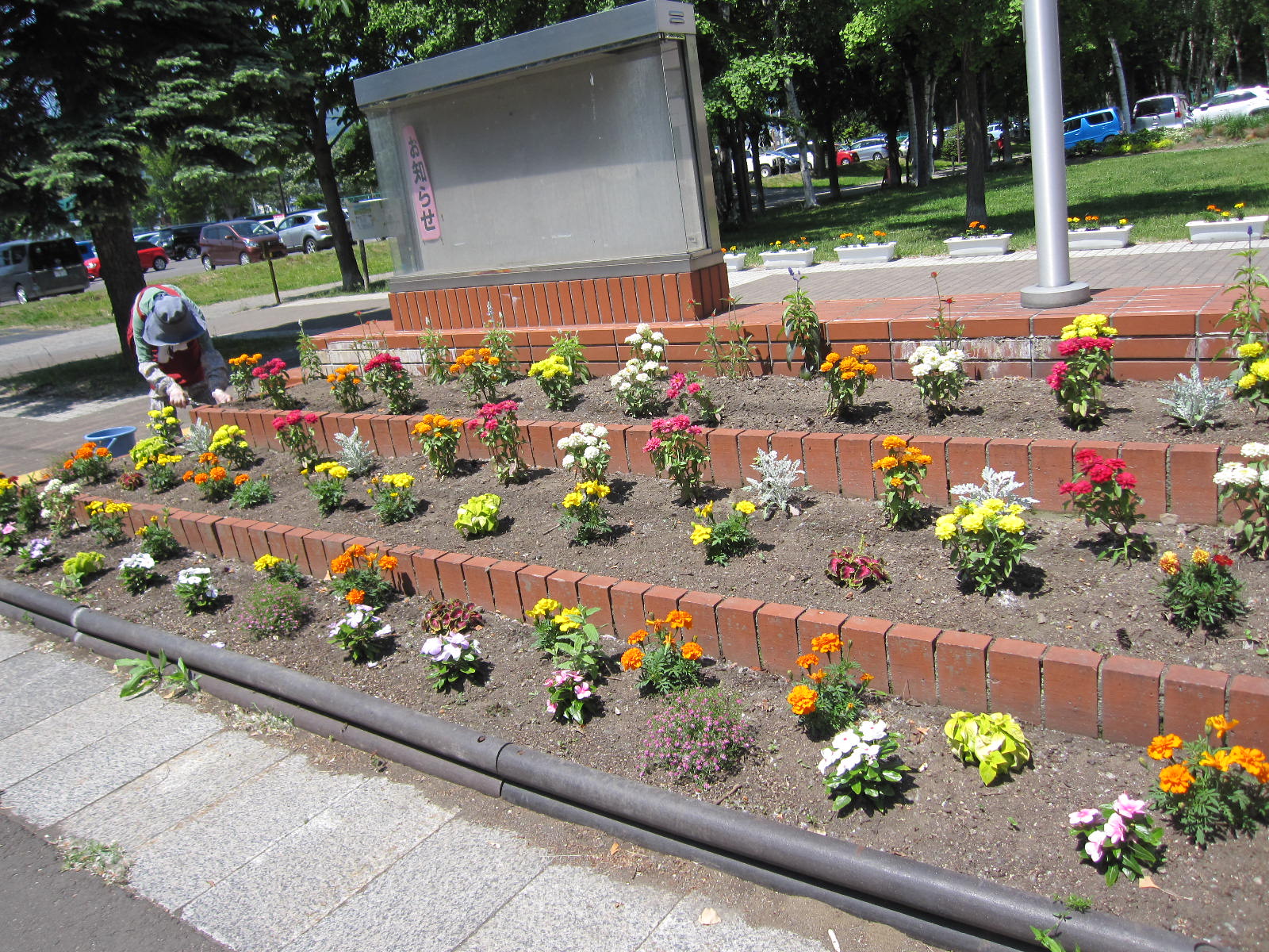 掲示板の花壇