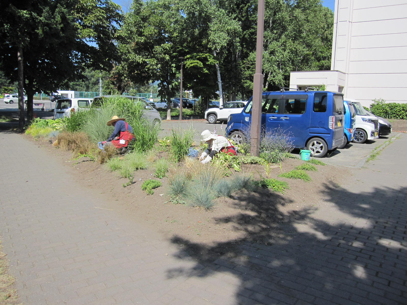 グラスガーデン