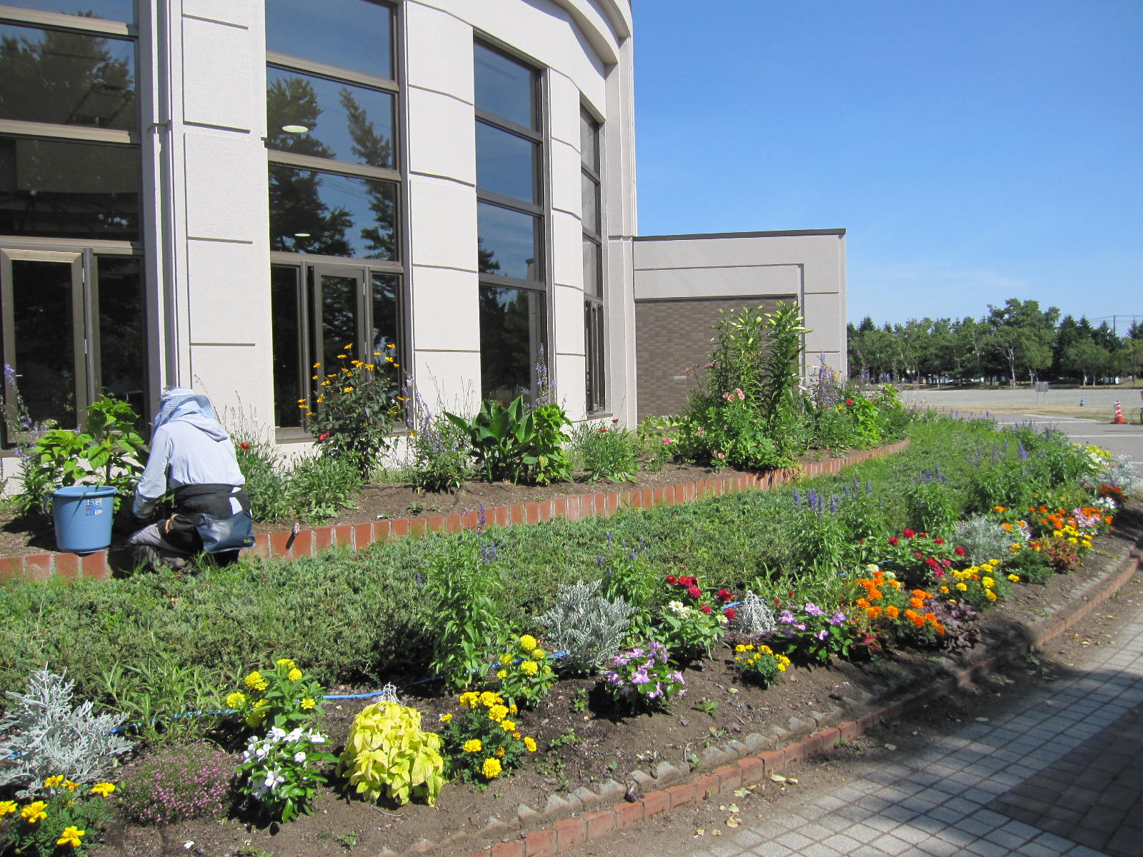 ツインキャップまわりの花壇