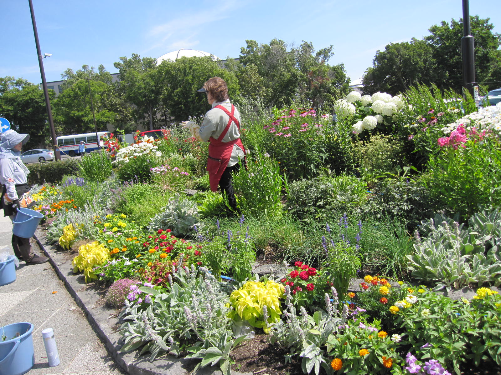 駐車場花壇