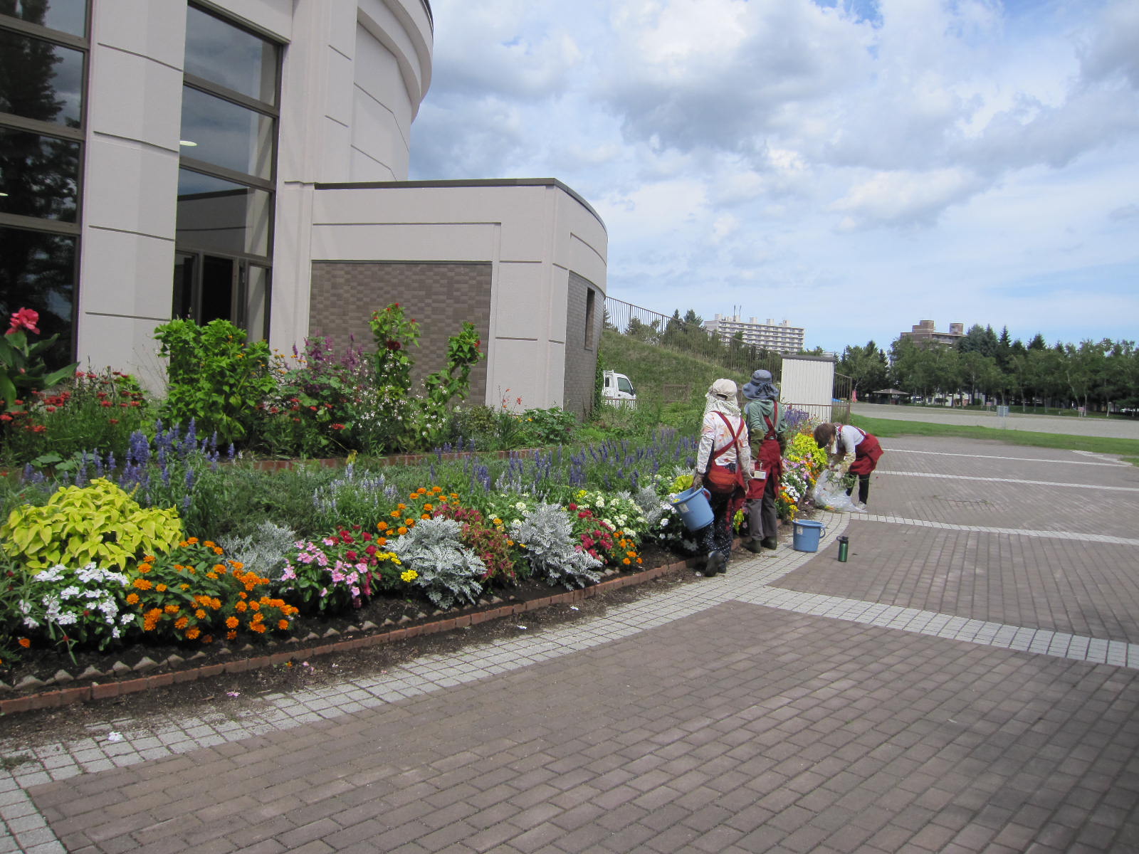 ツインキャップまわりの花壇