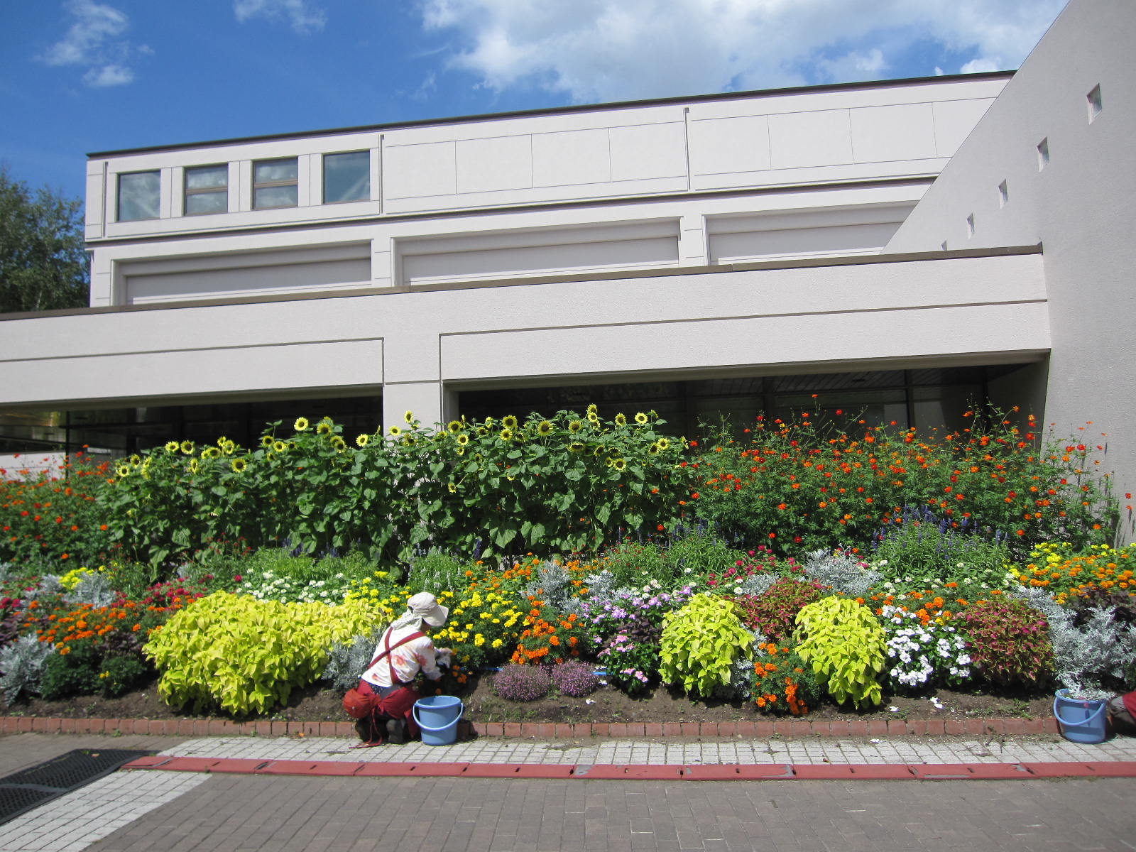 正面玄関横の花壇