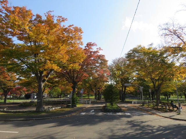 交通コーナーの紅葉写真