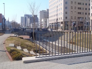 「5日目の公園」の画像