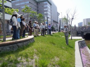 「植物ボランティア」の画像