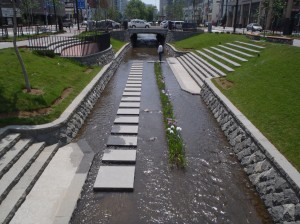 「川の花菖蒲」の画像