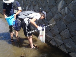 「川のお掃除と生き物の話」の画像