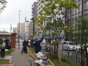 「植物ボランティアさん活躍中」の画像