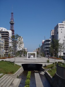 「土曜日の公園」の画像
