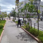 「北大通り～北２条通り　清掃ボランティア」の画像