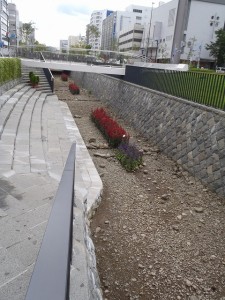 「台風の大雨の後の創成川」の画像