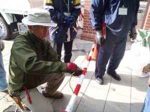 「今年最後の植物ボランティア」の画像