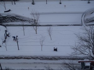 「Snow　garden_雪の枯山水　」の画像