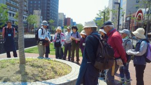 「５月の植物ボランティアの活動」の画像