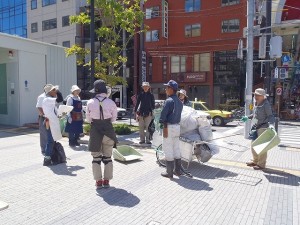 「8月の植物ボランティア」の画像