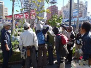 「10月の植物ボランティア」の画像