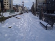 「雪の園内」の画像