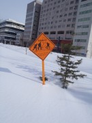 「スノーガーデンショー」の画像