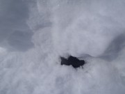 「これは、なあに？」の画像