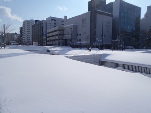 「2月の終わり　公園の様子は」の画像