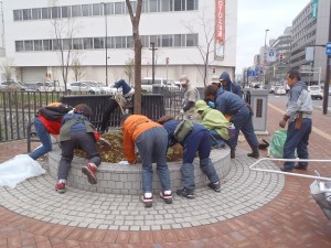「植物ボランティアの活躍で」の画像