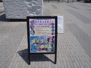 「ライラックまつり開催しました」の画像