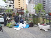 「広場のコンテナ花壇登場！」の画像